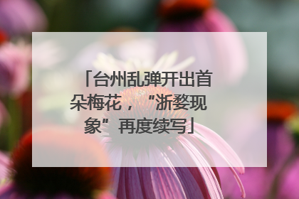 台州乱弹开出首朵梅花，“浙婺现象”再度续写