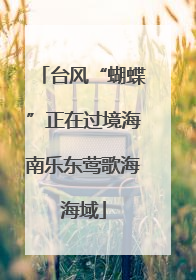 台风“蝴蝶”正在过境海南乐东莺歌海海域