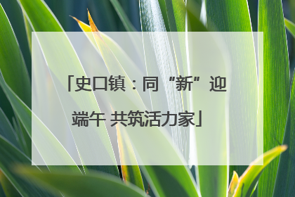 史口镇：同“新”迎端午 共筑活力家