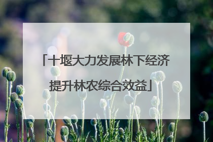 十堰大力发展林下经济 提升林农综合效益
