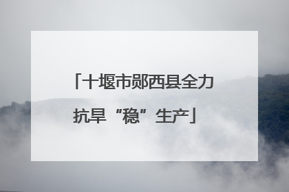 十堰市郧西县全力抗旱“稳”生产