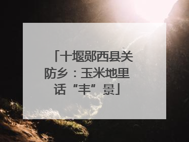 十堰郧西县关防乡：玉米地里话“丰”景
