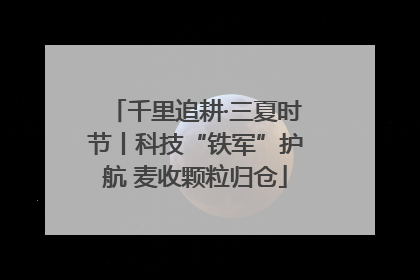 千里追耕·三夏时节丨科技“铁军”护航 麦收颗粒归仓