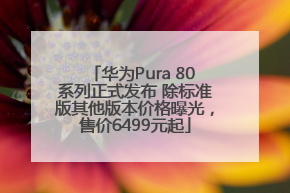 华为Pura 80系列正式发布 除标准版其他版本价格曝光，售价6499元起