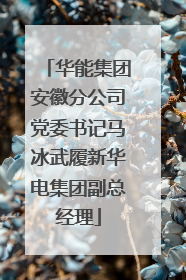 华能集团安徽分公司党委书记马冰武履新华电集团副总经理
