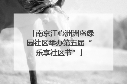 南京江心洲洲岛绿园社区举办第五届“乐享社区节”