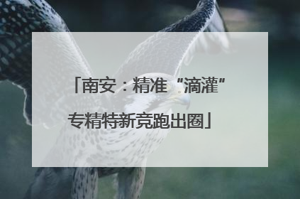 南安：精准“滴灌”专精特新竞跑出圈
