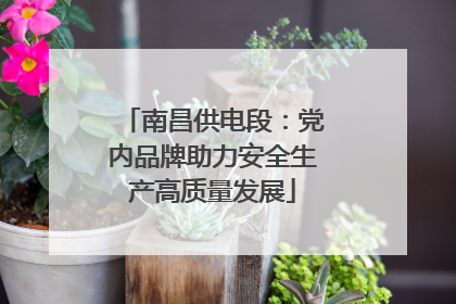 南昌供电段：党内品牌助力安全生产高质量发展
