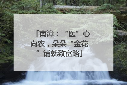 南漳：“医”心向农，朵朵“金花”铺就致富路