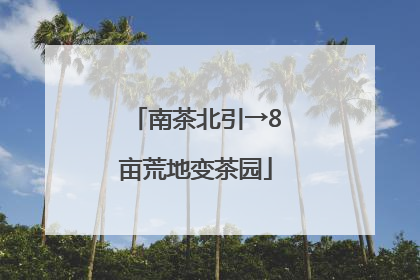 南茶北引→8亩荒地变茶园