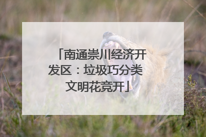 南通崇川经济开发区：垃圾巧分类 文明花竞开