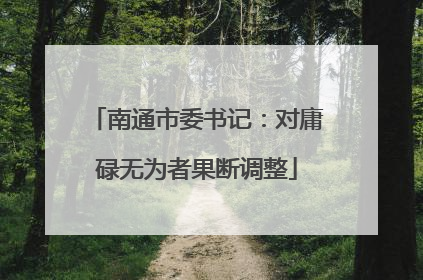 南通市委书记：对庸碌无为者果断调整