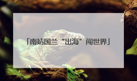 南靖国兰“出海”闯世界