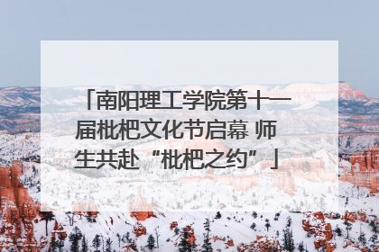 南阳理工学院第十一届枇杷文化节启幕 师生共赴“枇杷之约”