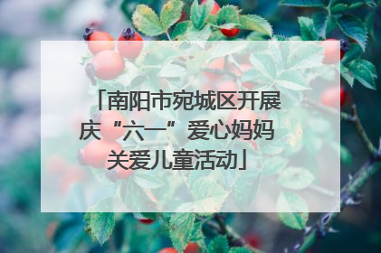 南阳市宛城区开展庆“六一”爱心妈妈关爱儿童活动