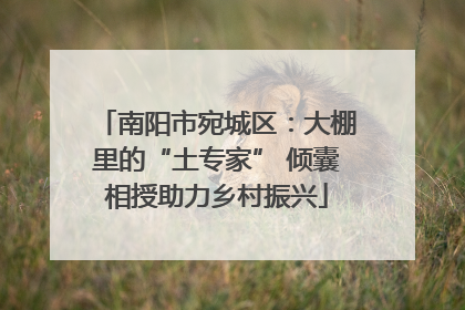 南阳市宛城区：大棚里的“土专家” 倾囊相授助力乡村振兴