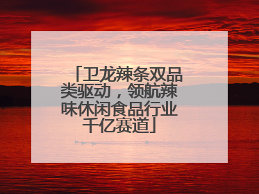 卫龙辣条双品类驱动，领航辣味休闲食品行业千亿赛道