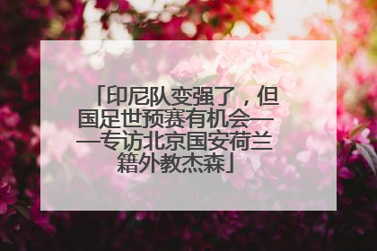印尼队变强了，但国足世预赛有机会——专访北京国安荷兰籍外教杰森