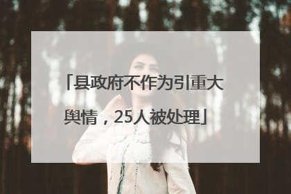 县政府不作为引重大舆情，25人被处理
