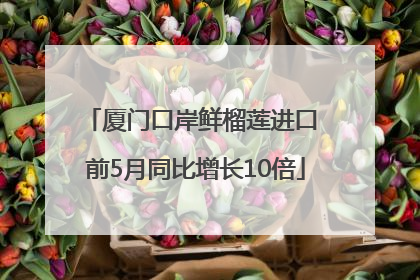 厦门口岸鲜榴莲进口 前5月同比增长10倍