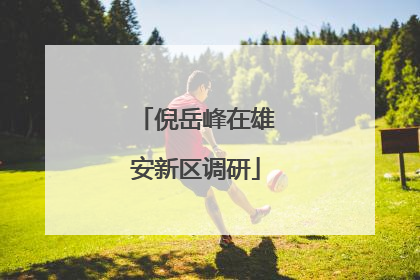 倪岳峰在雄安新区调研