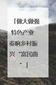 做大做强特色产业 奏响乡村振兴“富民曲”