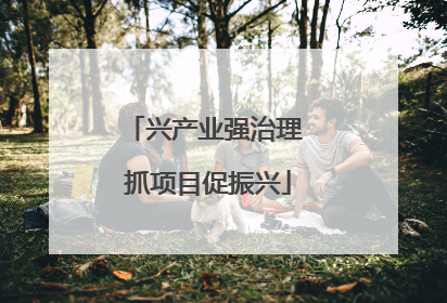 兴产业强治理 抓项目促振兴