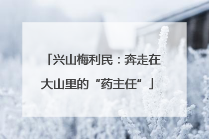 兴山梅利民：奔走在大山里的“药主任”
