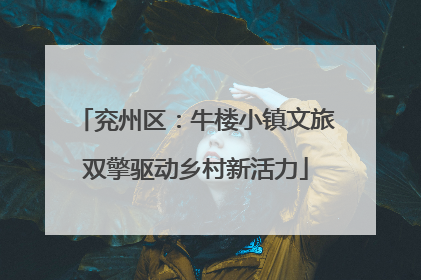 兖州区：牛楼小镇文旅双擎驱动乡村新活力