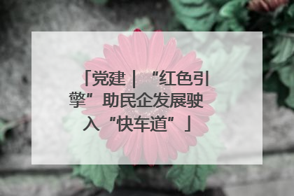 党建｜“红色引擎”助民企发展驶入“快车道”