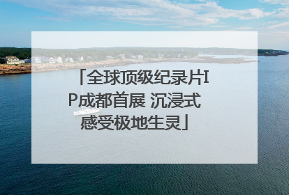 全球顶级纪录片IP成都首展 沉浸式感受极地生灵