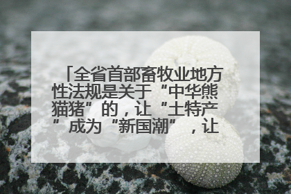 全省首部畜牧业地方性法规是关于“中华熊猫猪”的，让“土特产”成为“新国潮”，让“农产品”升格为“城市IP”