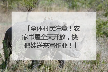 全体村民注意！农家书屋全天开放，快把娃送来写作业！