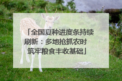 全国夏种进度条持续刷新：多地抢抓农时 筑牢粮食丰收基础