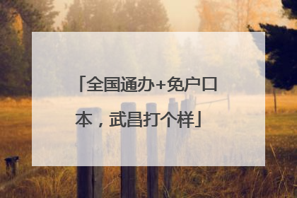 全国通办+免户口本，武昌打个样