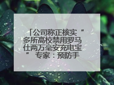 公司称正核实“多所高校禁用罗马仕两万毫安充电宝” 专家：预防手机没电选中等体积产品即可