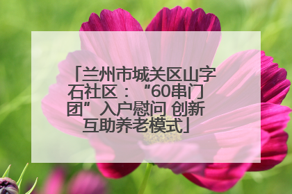 兰州市城关区山字石社区：“60串门团”入户慰问 创新互助养老模式