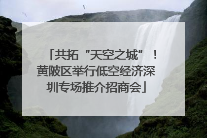 共拓“天空之城”！黄陂区举行低空经济深圳专场推介招商会