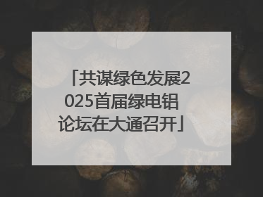 共谋绿色发展2025首届绿电铝论坛在大通召开