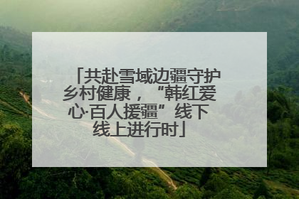 共赴雪域边疆守护乡村健康，“韩红爱心·百人援疆”线下线上进行时