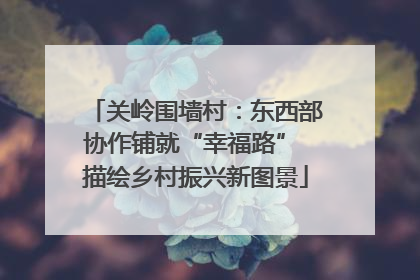 关岭围墙村：东西部协作铺就“幸福路” 描绘乡村振兴新图景