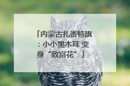 内蒙古扎赉特旗：小小黑木耳 变身“致富花”