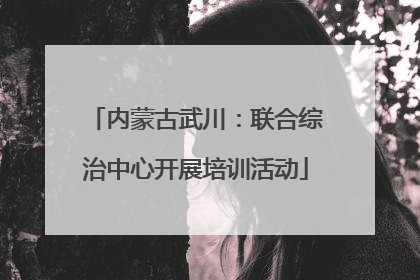 内蒙古武川：联合综治中心开展培训活动