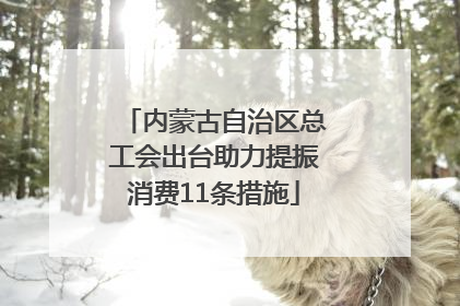 内蒙古自治区总工会出台助力提振消费11条措施