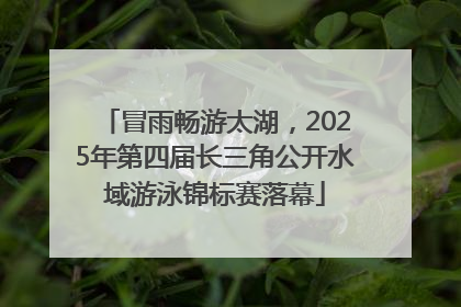冒雨畅游太湖，2025年第四届长三角公开水域游泳锦标赛落幕