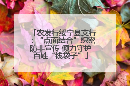 农发行绥宁县支行：“点面结合”织密防非宣传 倾力守护百姓“钱袋子”
