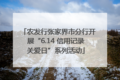 农发行张家界市分行开展“6.14 信用记录关爱日”系列活动
