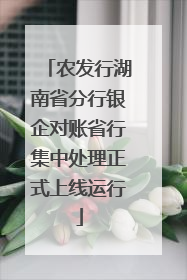 农发行湖南省分行银企对账省行集中处理正式上线运行