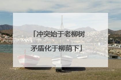 冲突始于老柳树 矛盾化于柳荫下