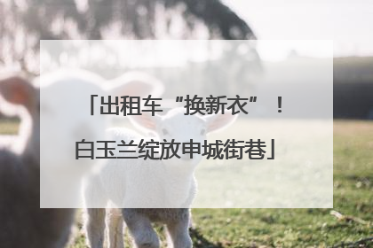 出租车“换新衣”！白玉兰绽放申城街巷